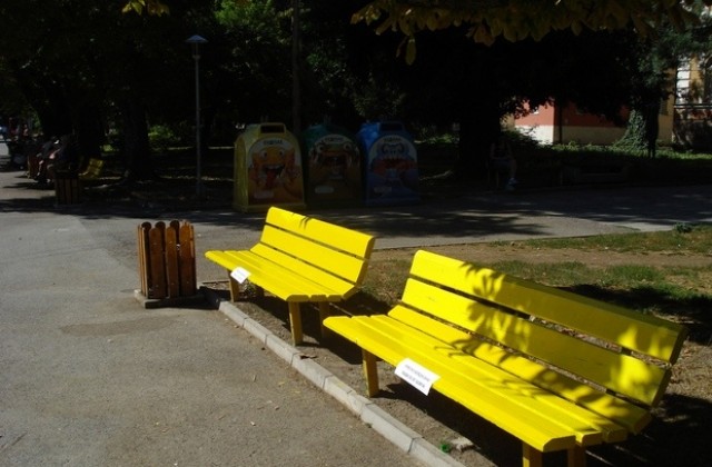 Стотици пейки боядисва в Плевен общинска фирма Паркстрой