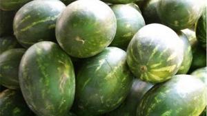 Мъж и жена задигнаха 570 кг дини от полето