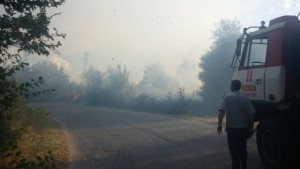 Голям пожар между Коркина и Горна Козница