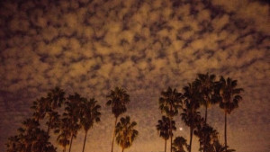 Учени тестват роботна космическа технология в пустинята