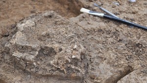 Откриха женски скелет на дъното на келтско светилище в Сборяново