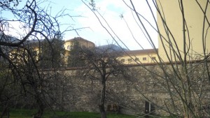 Разказът на момиче след побой и унижения от връстнички