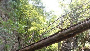 Климатолог Есента в България ще бъде малко потопла