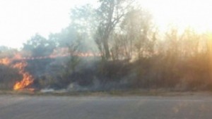 Огън от небрежност унищожи над 100 дка гори в Коркина