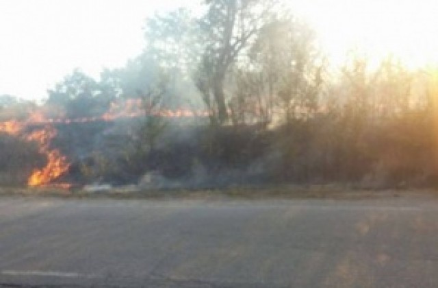 Огън от небрежност унищожи над 100 дка гори в Коркина и Ваксево
