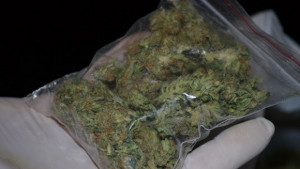 Спипаха многократно осъждан дилър да продава марихуана