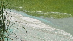 Взеха първи проби от водата в язовир Пчелина 1