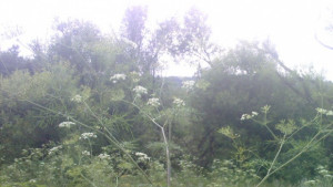 На много места ще превали и прегърми