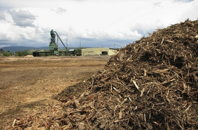 Централа за преработка на биомаса тормози жители на Труд