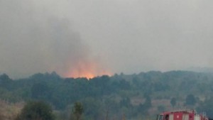 Няма опасност за хората от пожара между Изворово и Дрипчево