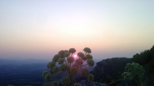 Времето в понеделник 22 август