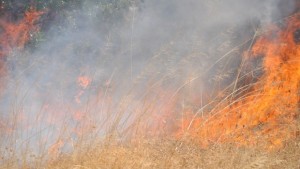 Червен код за опасност от пожари в област Хасково