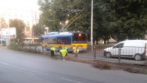 Над 4500 храсти подрязва общинска фирма в Плевен