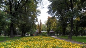 Започва поредно третиране срещу комари в Пловдив