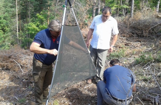 Горските в Смолян борят вредителите с иновативна техника