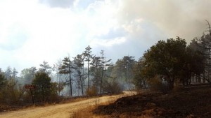 Областен кризисен щаб в Харманли заради новия пожар