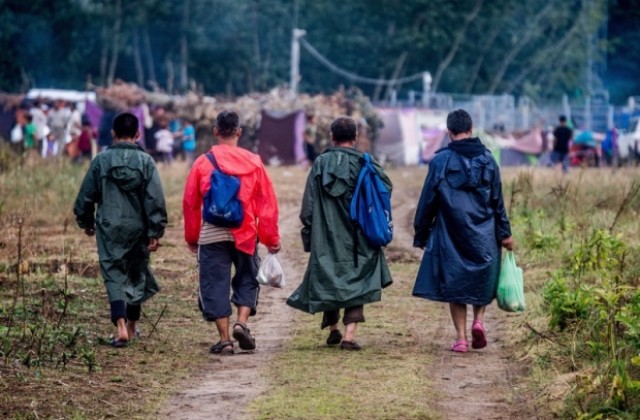 Евродепутат предложи свински глави по границите за сплашване на мигрантите