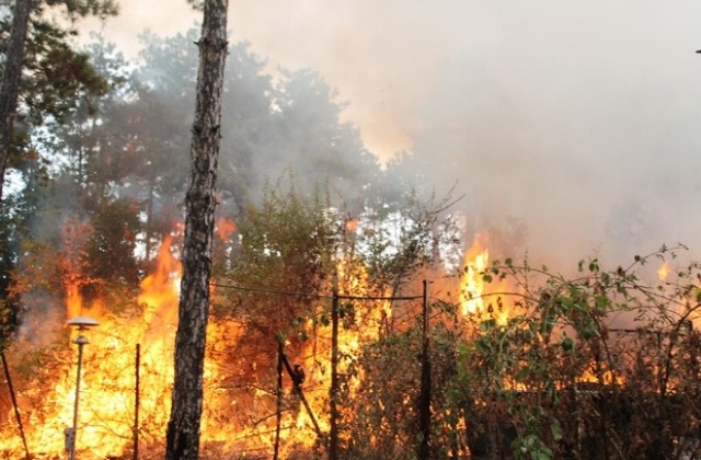 Военнослужещи се включиха в гасенето на пожара в Харманлийско