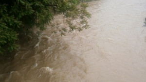 Откриха тялото на 73годишен рибар във водите на река Видима