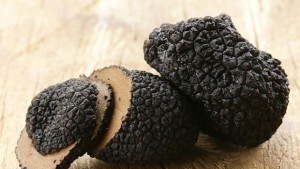 Австралиец откри трюфел с тегло 15 килограма СНИМКИ