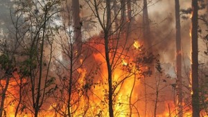 15 пожара са бушували на територията на Северноцентралното предприятие от