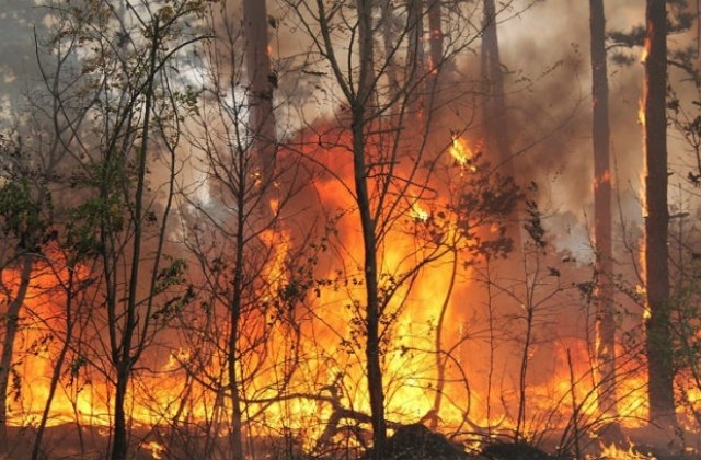 15 пожара са бушували на територията на Северноцентралното предприятие от началото на годината