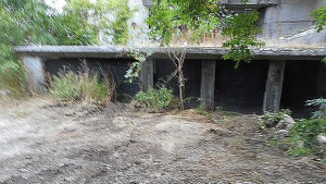 Премахнаха локално сметище в центъра на Шумен