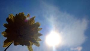 Времето на 26 август Предимно слънчево и почти без валежи