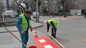 В Търговище подновяват пътната маркировка