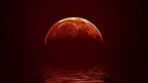 Разкриха връзката между Луната и нашествията от медузи