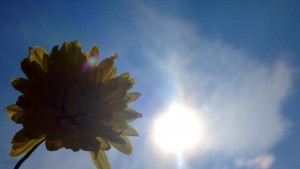 Времето на 27 август Предимно слънчево температурите от 25 до