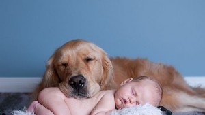 За найдобрия приятел с любов