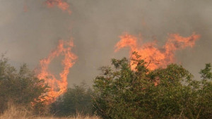 Червен код за опасност от пожари в Добричко
