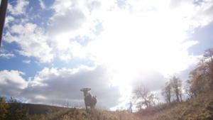 Прогноза за времето за 27 август събота