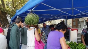 Цените на плодовете и зеленчуците по пазарите в сезона за