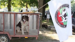 Национална киноложка изложба във Видин