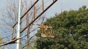 Започва демонтирането на опасните тролейбусни жици в Пловдив