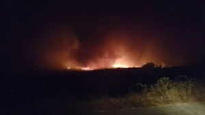 Евакуираха 50 от с Българска поляна заради пожара