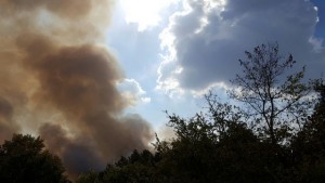 22 пожарни и военни гасят пожара край Българска поляна Чакат