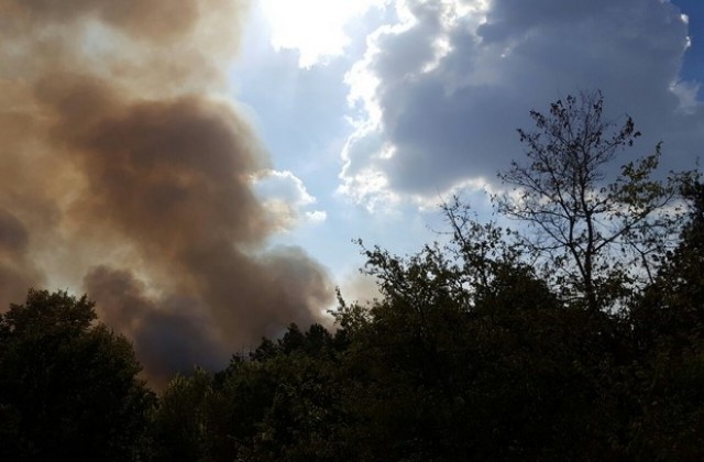 22 пожарни и военни гасят пожара край Българска поляна. Чакат хеликоптер