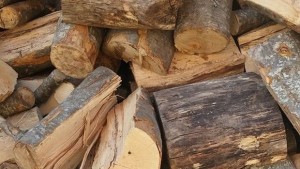 По 80 лв за кубик продават дървата за огрев в