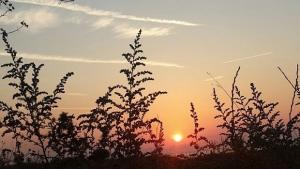 Времето на 2 септември Слънчево