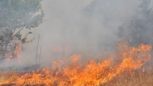 Борбата с пожара край селата Мъдрец и Главан продължава