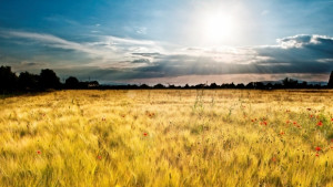 Ще се радваме на слънчево и топло време на 4