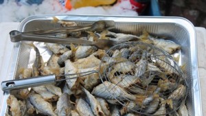 600 кг пържена риба бяха раздадени безплатно на гостите на