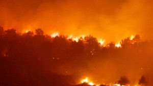 Огнена стихия в Синьо Камене пет екипа на пожарната срещу