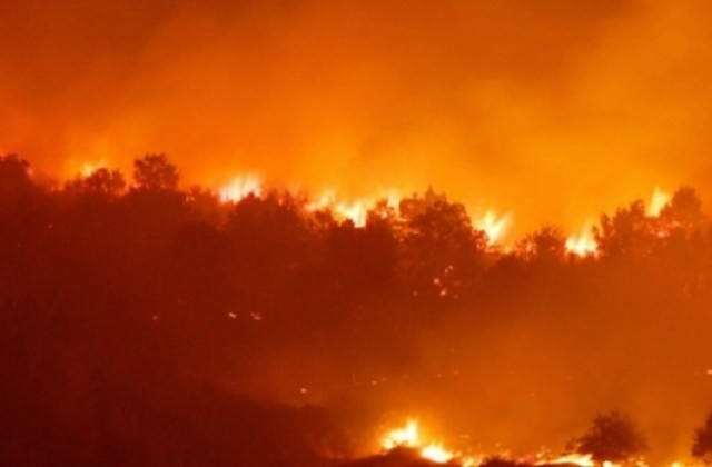 Огнена стихия в Синьо Камене, пет екипа на пожарната срещу пламъците