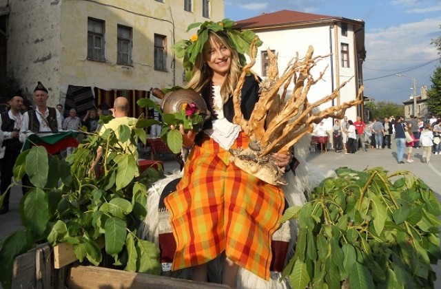 Кралицата на ореха - атракция на празника в Орехово