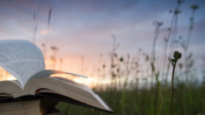 Алея на книгата в София