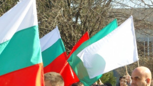 Хиляди красиви цветя красят площад Съединение